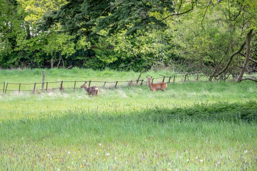 Home Farm Boreham Warminster Zewnętrze zdjęcie