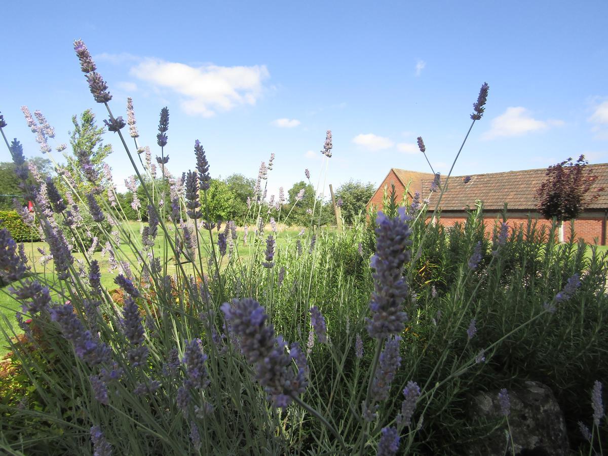 Home Farm Boreham Warminster Zewnętrze zdjęcie