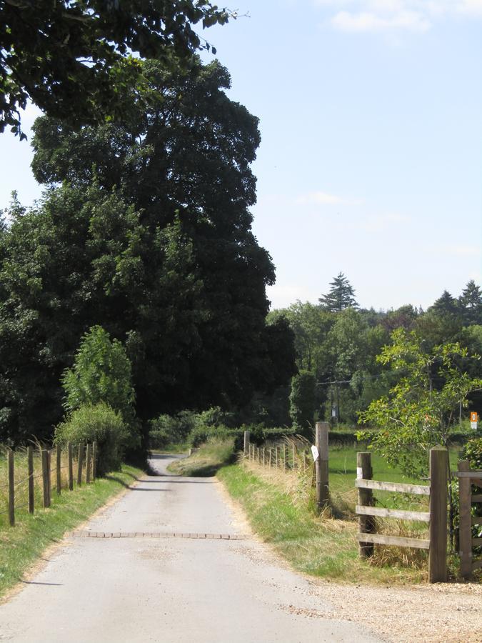 Home Farm Boreham Warminster Zewnętrze zdjęcie